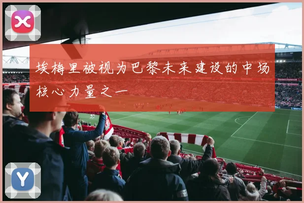 埃梅里被视为巴黎未来建设的中场核心力量之一